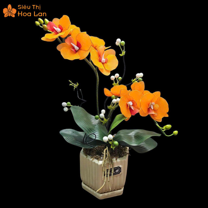 Hướng Dẫn Chi Tiết Cách Làm Hoa Lan Hồ Điệp Bằng Vải Voan Sang Trọng Cắm hoa lan voan vào chậu