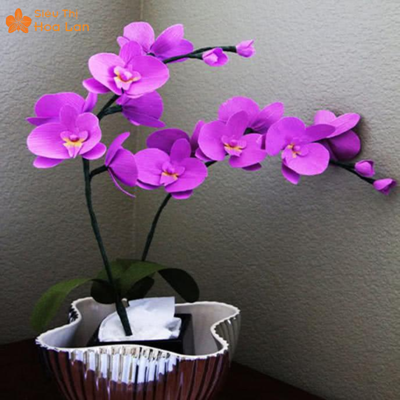 Hướng Dẫn Chi Tiết Cách Làm Hoa Lan Hồ Điệp Bằng Vải Voan Sang Trọng Lưu ý khi làm hoa voan