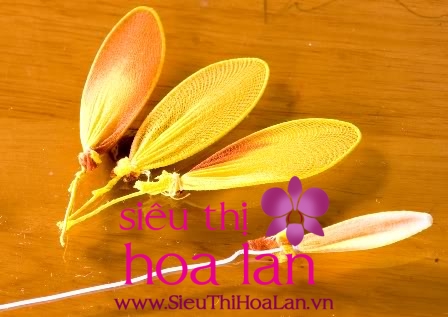 Cách làm hoa địa lan bằng vải voan mà bạn nên biết cach lam hoa dia lan bang vai voan 4