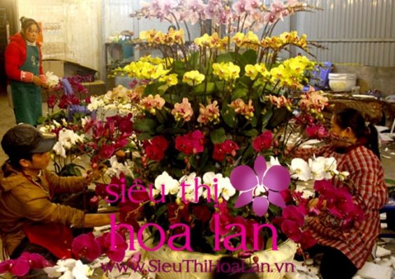 mat nhan ngam nhung chau lan ho diep khung 3