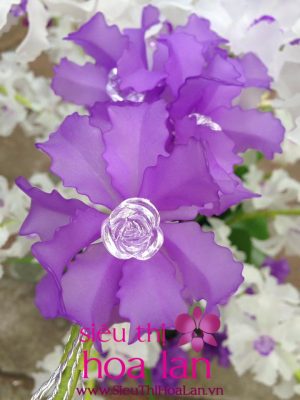 nhung dieu chua biet ve hoa da dia lan 3