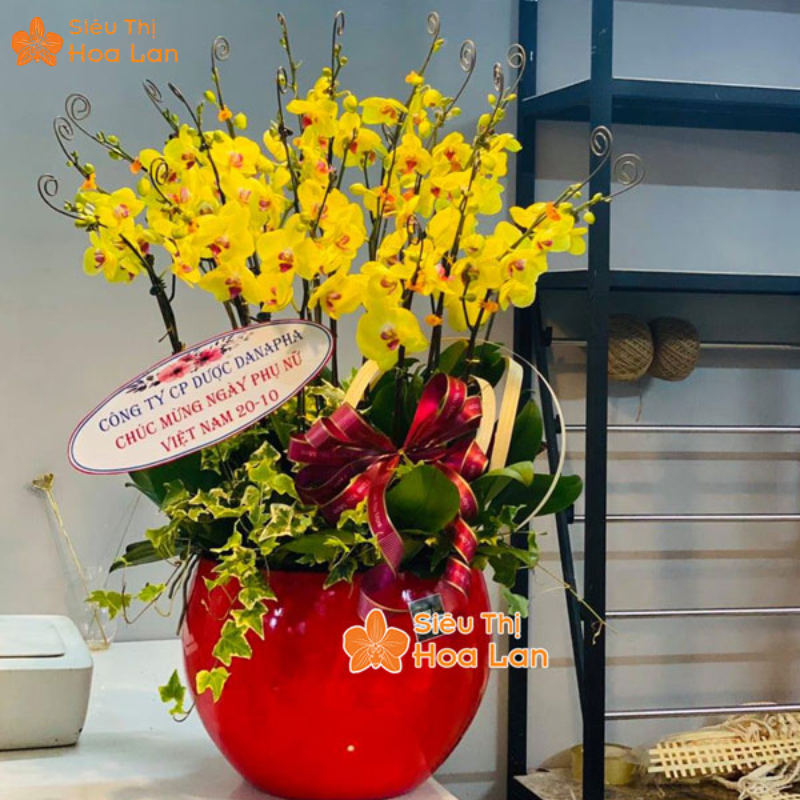 bảng màu hoa lan hồ điệp