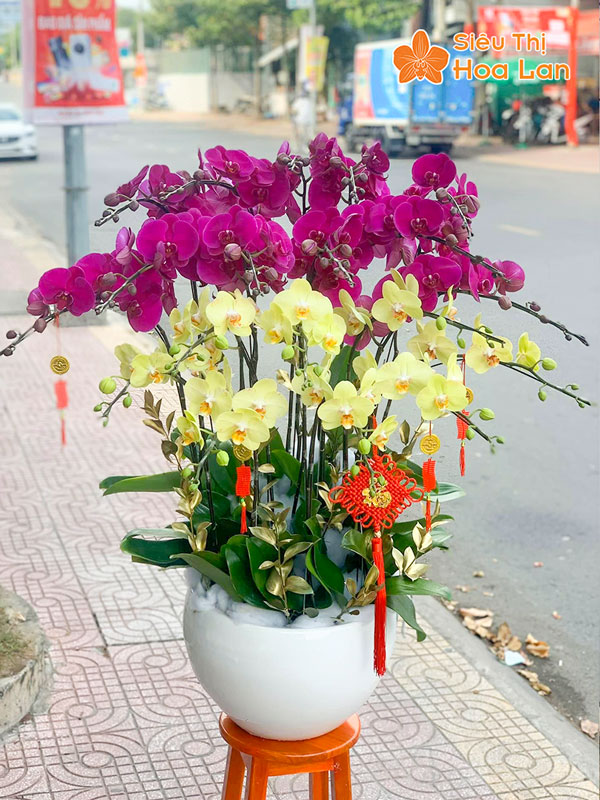 Quy trình đặt mua hoa lan hồ điệp tại Siêu Thị Hoa Lan