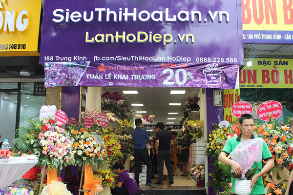 Siêu Thị Hoa Lan hệ thống các cửa hàng hoa lan hồ điệp lớn nhất tại Hà Nội