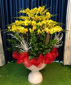 chau hoa lan ho diep tet 41