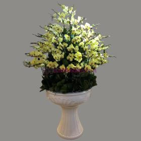 Chậu hoa lan hồ điệp Tết màu vàng 90 cành phú quý, giàu sang