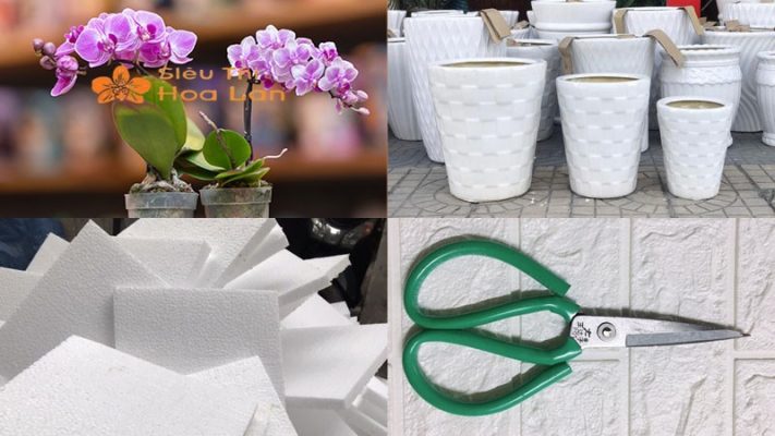 Hướng Dẫn Cắm Lan Hồ Điệp Trang Trí Phòng Khách Tinh Tế Và Sang Trọng Nguyên liệu cắm lan hồ điệp