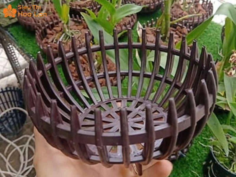 Hướng Dẫn Chi Tiết Cách Làm Chậu Lan Tại Nhà Đẹp Và Đơn Giản Từ A - Z nên tự làm chậu hoa lan