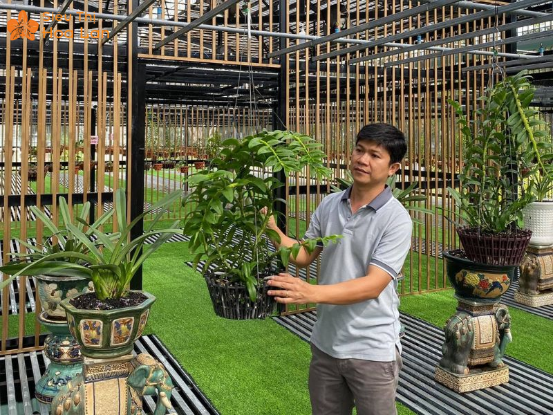 Hướng Dẫn Chi Tiết Cách Làm Chậu Lan Tại Nhà Đẹp Và Đơn Giản Từ A - Z lưu ý khi làm chậu