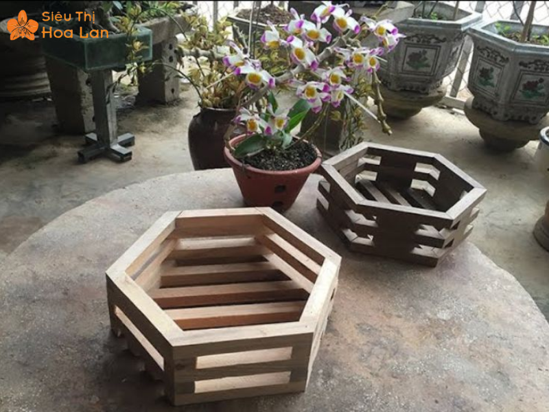 Làm Giỏ Lan Bằng Gỗ Từ A-Z Cực Đơn Giản, Hiệu Quả, Nhanh Chóng Tại Nhà Chú ý khi làm giỏ trồng lan