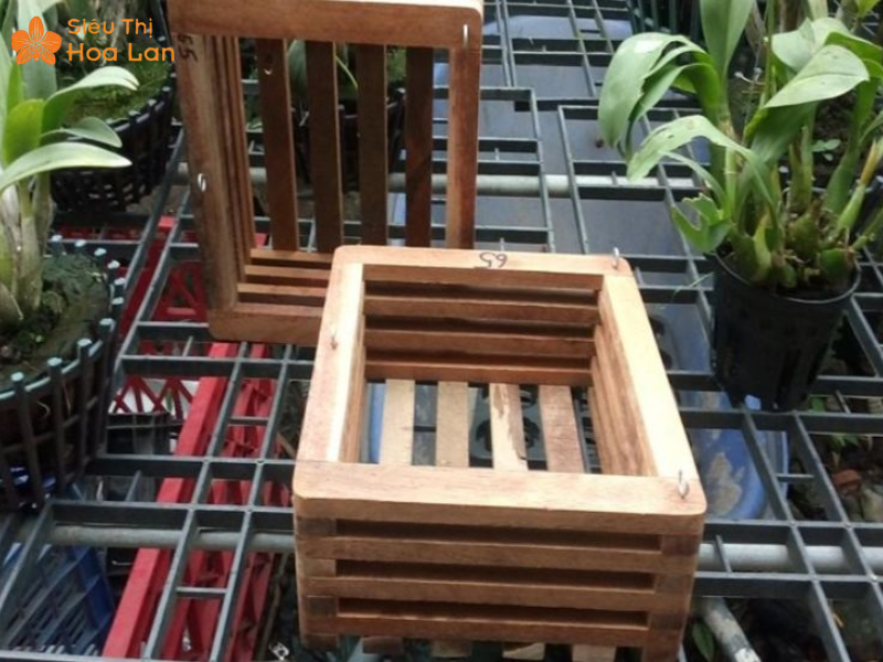Làm Giỏ Lan Bằng Gỗ Từ A-Z Cực Đơn Giản, Hiệu Quả, Nhanh Chóng Tại Nhà Chậu gỗ vuông có nhiều kích thước