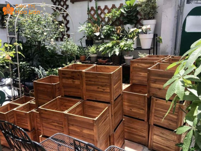 Làm Giỏ Lan Bằng Gỗ Từ A-Z Cực Đơn Giản, Hiệu Quả, Nhanh Chóng Tại Nhà Bảo quản giỏ gỗ đựng lan