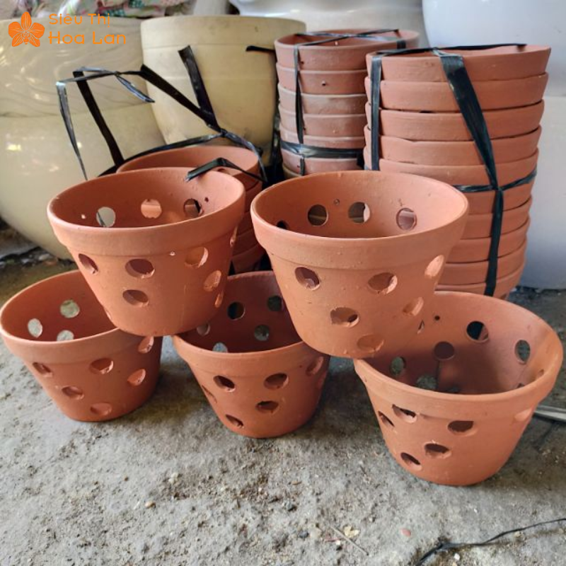 chậu đất nung hình tròn