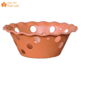 Chậu Gốm Trồng Lan Tráng Men Thoáng Khí, Bền Bỉ, Chính Hãng Giá Tốt