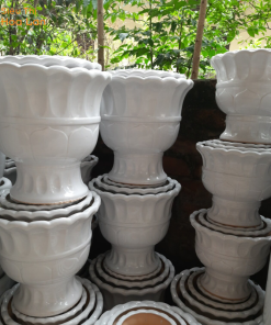 chậu gốm tròn thấp trồng lan