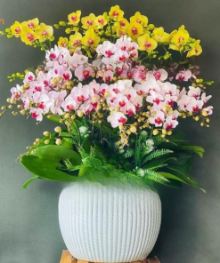 Lan mini 2 tầng nhỏ nhắn