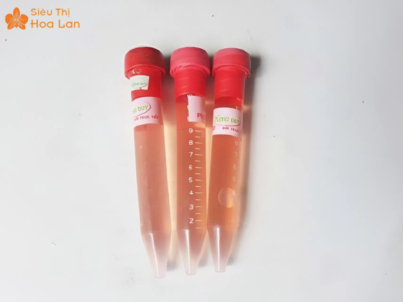 Hướng Dẫn Cách Kích Kie Lan Hồ Điệp An Toàn Và Hiệu Quả Nhanh Chóng dụng cụ kích kie lan