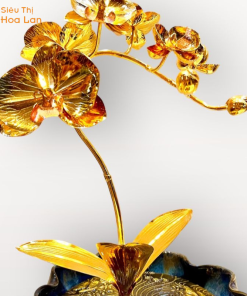 hoa hồ điệp tình yêu