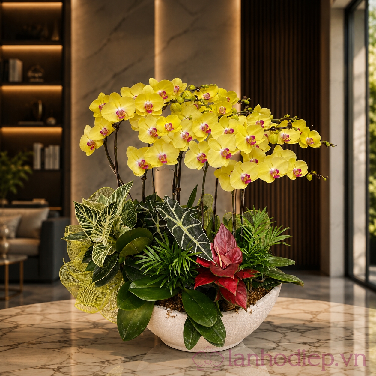 Lan Hồ Điệp Vàng Chanh