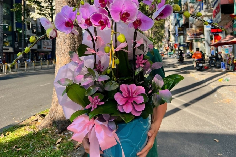 Phòng trừ sâu bệnh lan