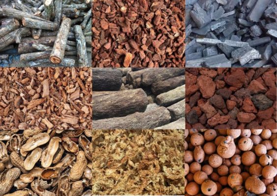 Các giá thể lan hồ điệp