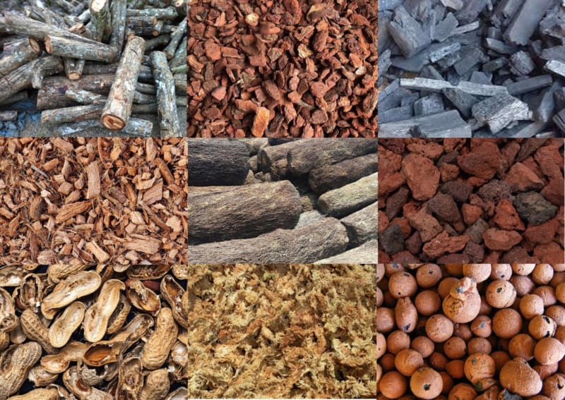 Các giá thể lan hồ điệp