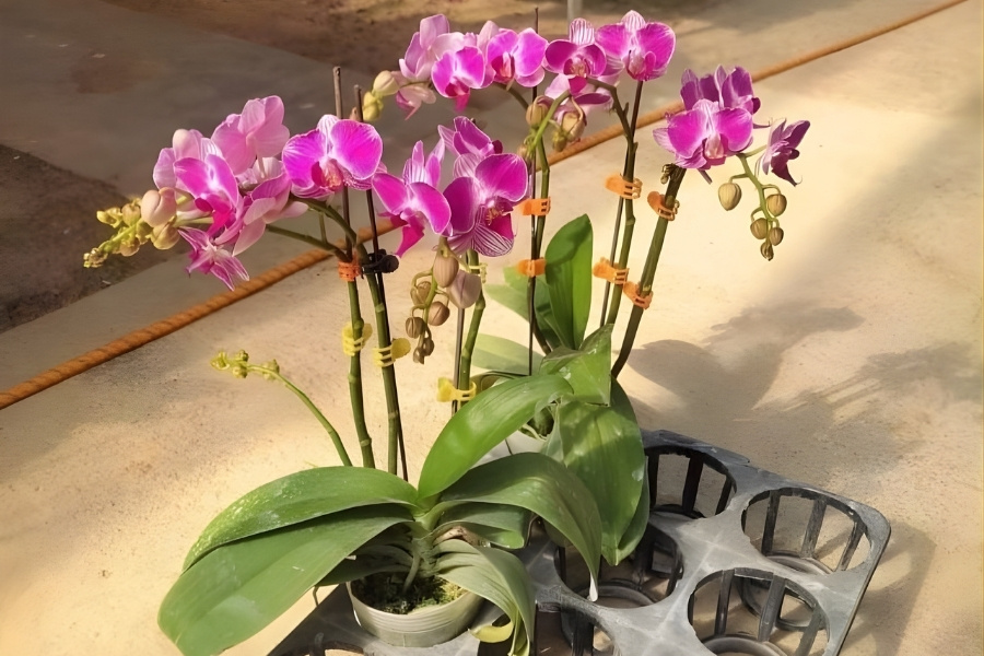 dụng cụ và nguyên vật liệu