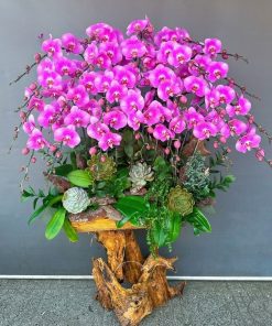 Phôi gỗ lũa ghép độc bản