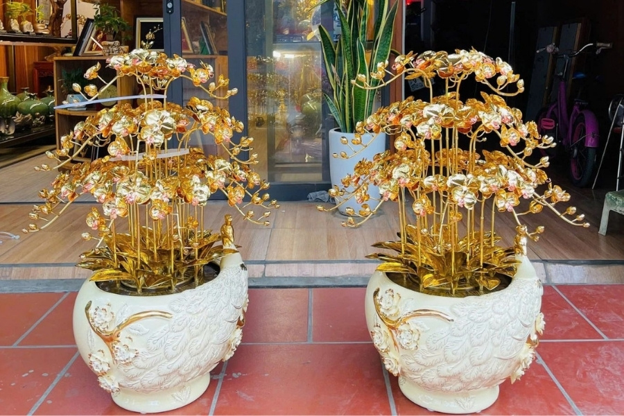 Vệ sinh cẩn thận chậu lan