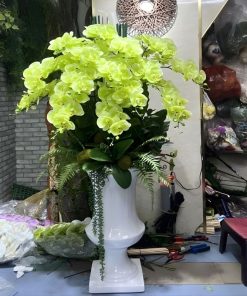 Giá hồ điệp mini xanh lá