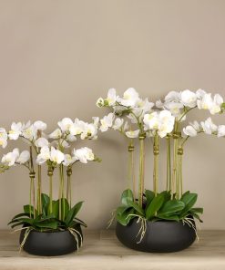 Quà tặng ý nghĩa tinh tế