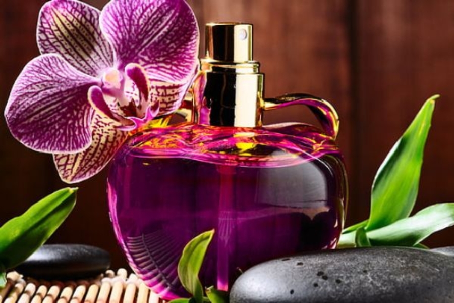 công dụng và ý nghĩa hoa lan