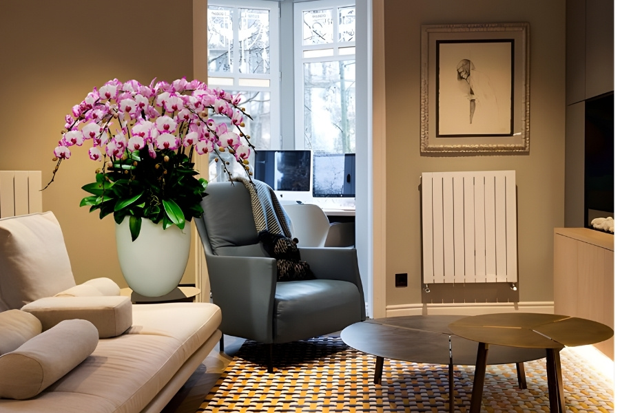 Trang trí chậu lan ở phòng khách