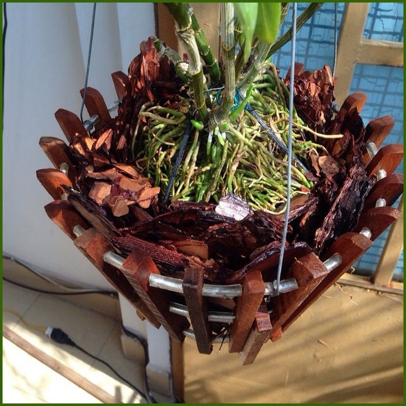 vỏ cây giá thể lan hồ điệp