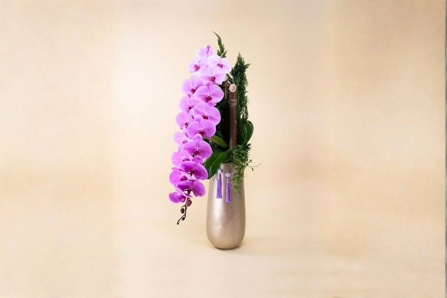 lan hồ điệp trang trí sự kiện