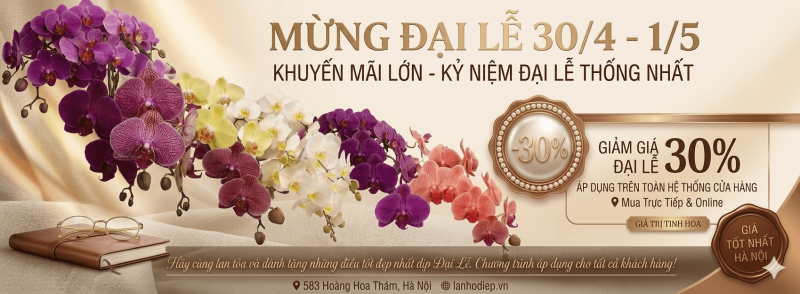 Gemini Generated Image 4qcf944qcf944qcf