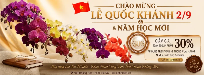 Chào mừng đại lễ 2/9