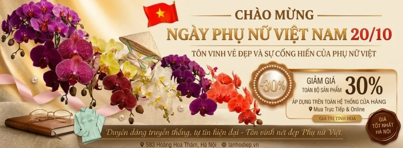 hoa lan hồ điệp 20/10